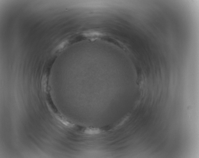 X0000082150767200701262308