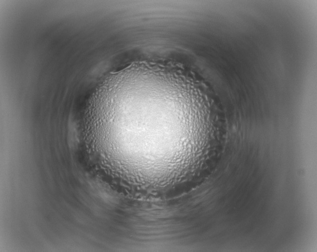 X0000082150772200701262307