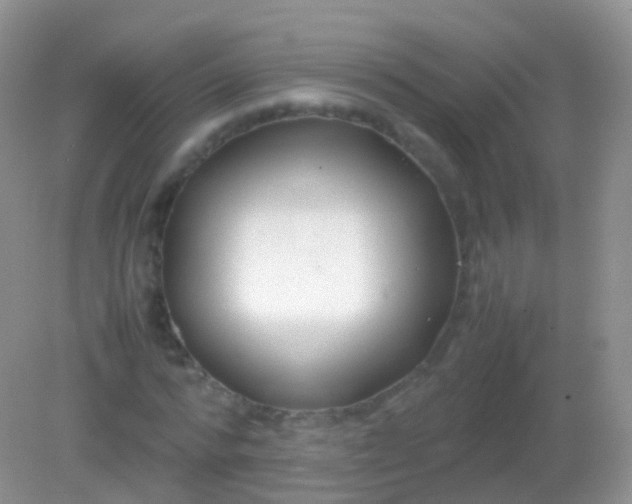 X0000082150776200701262307