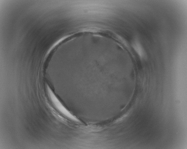 X0000082150779200701262307