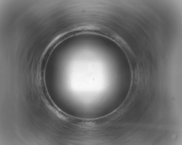 X0000082150784200701262307