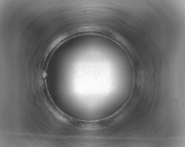 X0000082150786200701262307