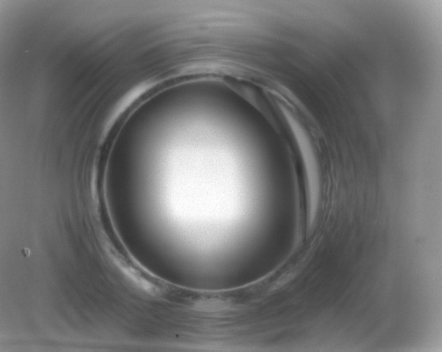 X0000082150788200701262307