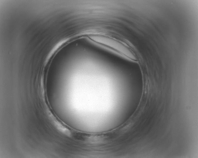 X0000082150796200701262307