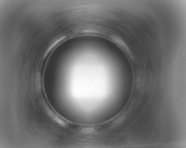 X0000082150798200701262307