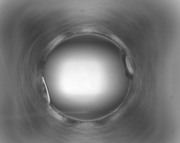 X0000082150801200701262307