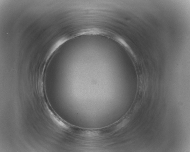 X0000082150802200701262307