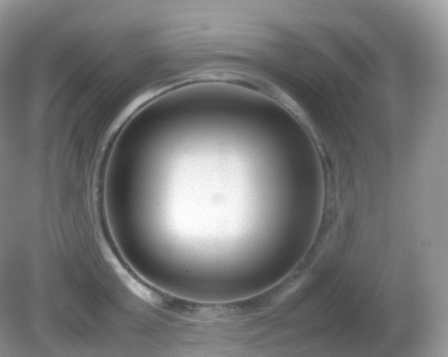 X0000082150803200701262307