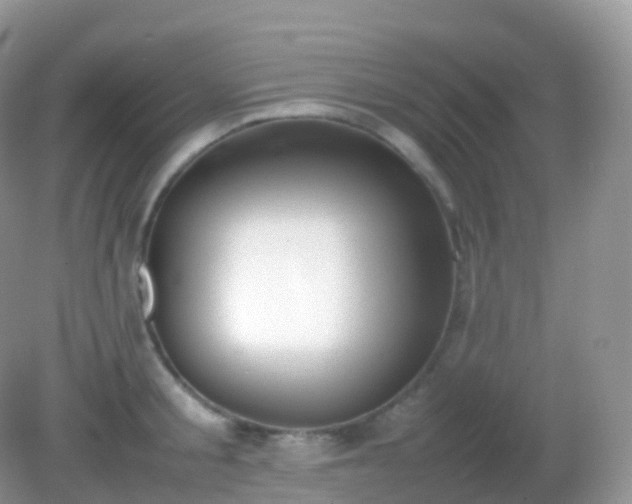 X0000082150805200701262307