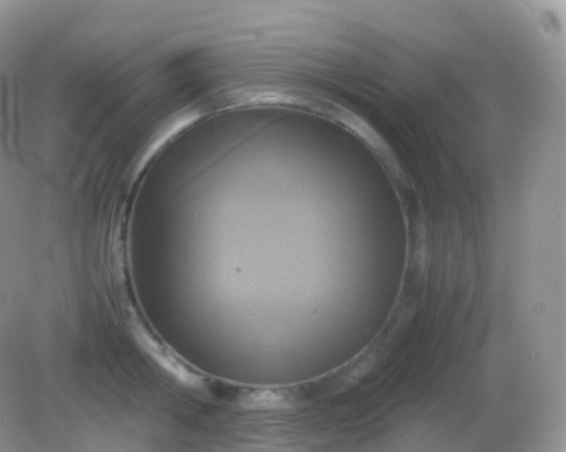 X0000082150806200701262307
