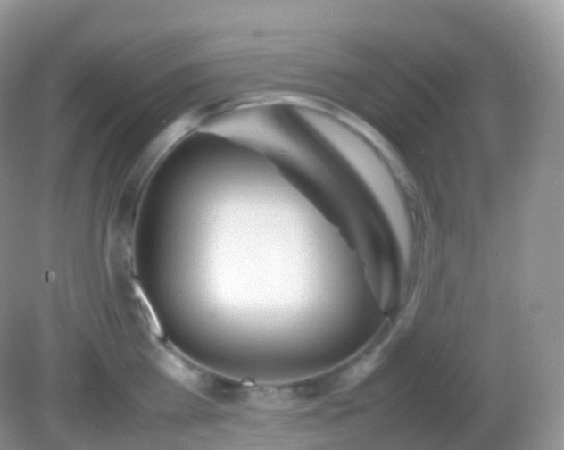 X0000082150809200701262307