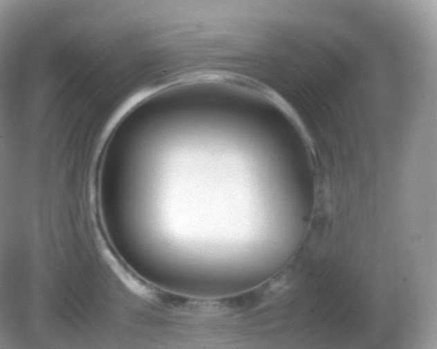 X0000082150811200701262307