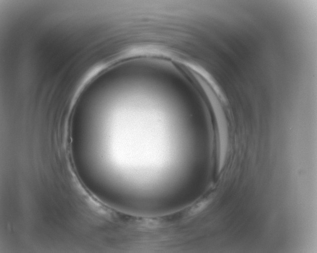 X0000082150815200701262307