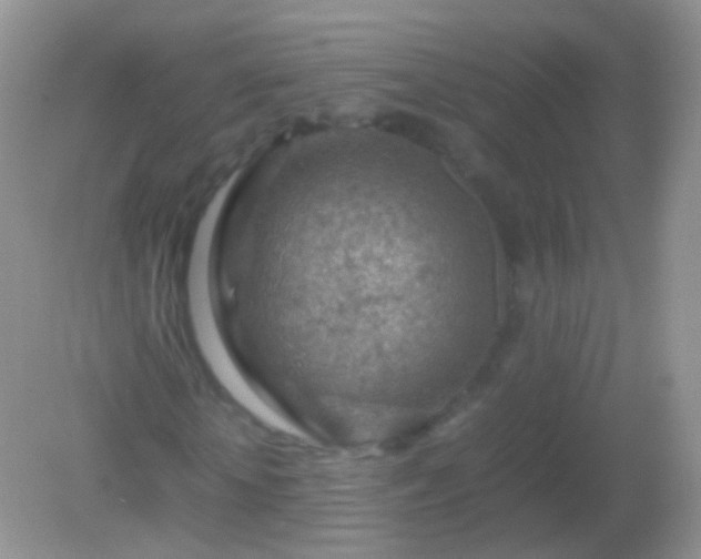 X0000082150818200701262306