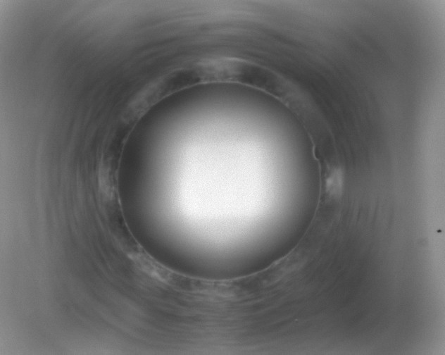 X0000082150819200701262306