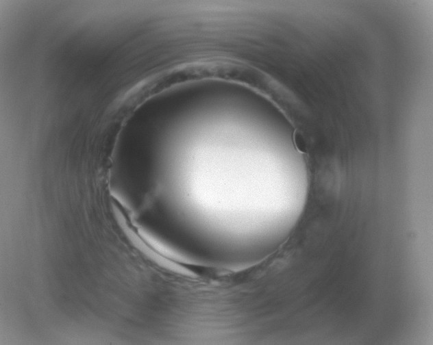 X0000082150822200701262306