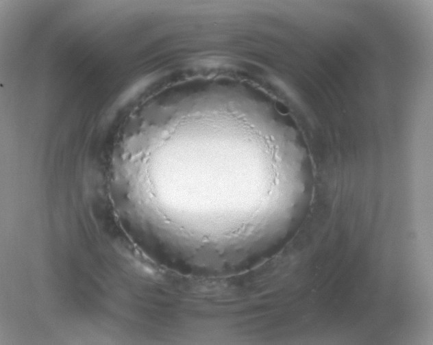 X0000082150823200701262306