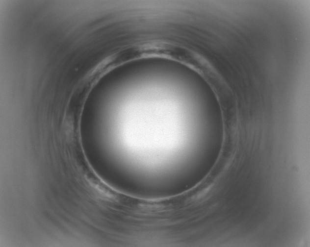 X0000082150825200701262306