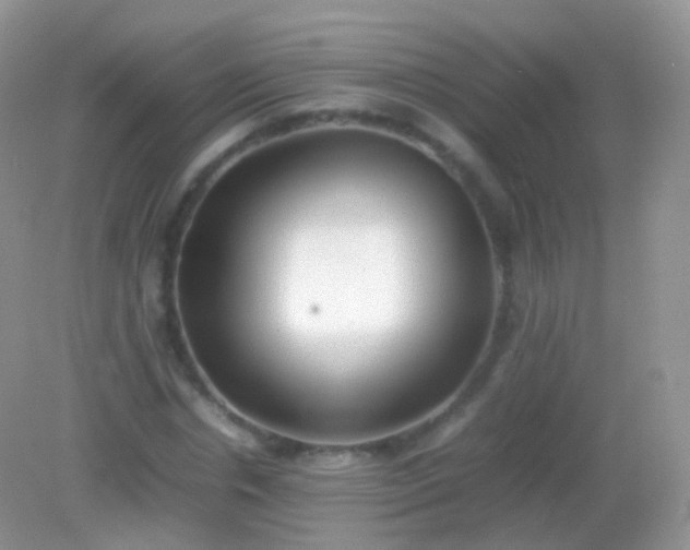 X0000082150826200701262306