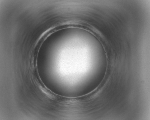 X0000082150830200701262306