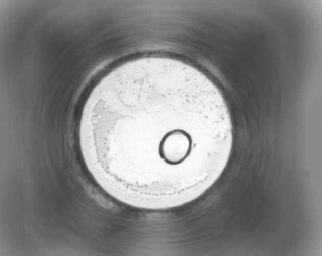 X0000082150832200701262306