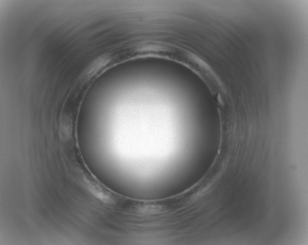 X0000082150833200701262306