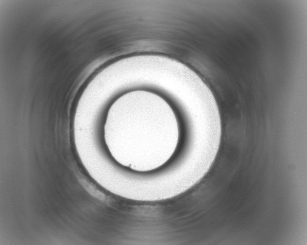 X0000082150836200701262306
