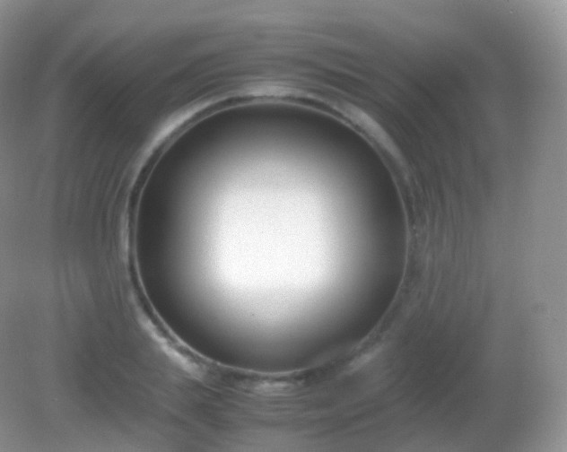 X0000082150839200701262306