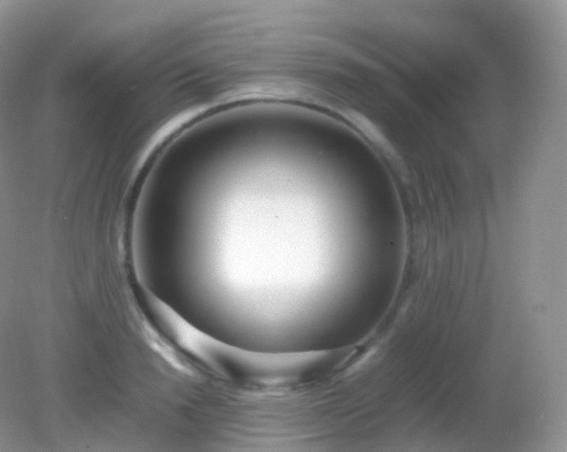 X0000082150846200701262306