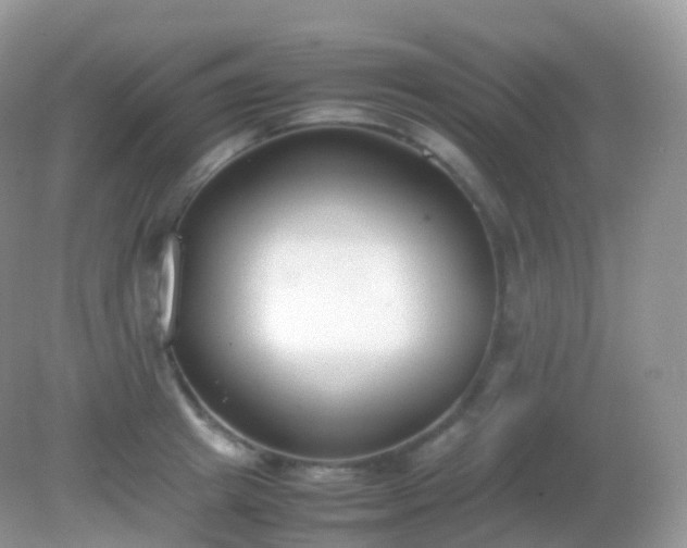 X0000082150849200701262306