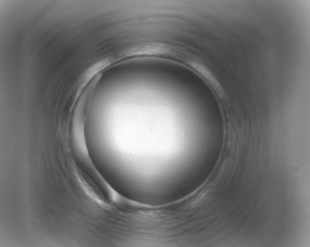 X0000082150850200701262306