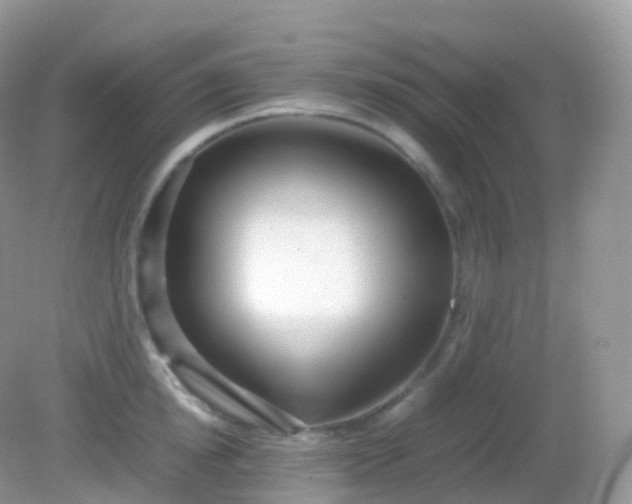 X0000082150854200701262306