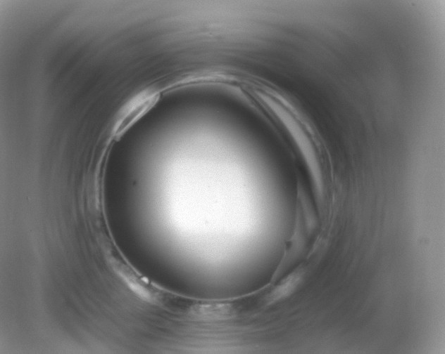 X0000082150858200701262306