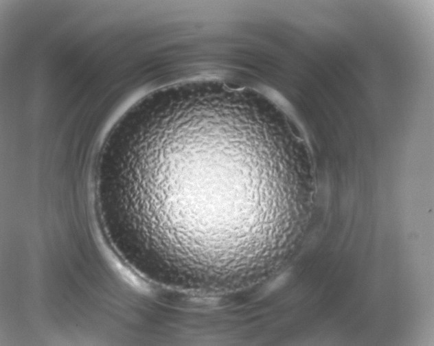 X0000082150859200701262306