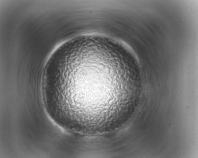 X0000082150863200701262307