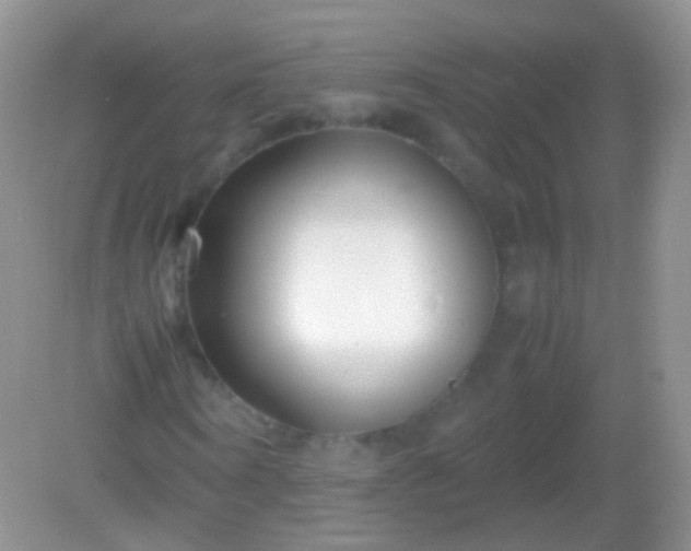 X0000082150866200701262306