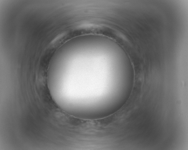 X0000082150869200701262306