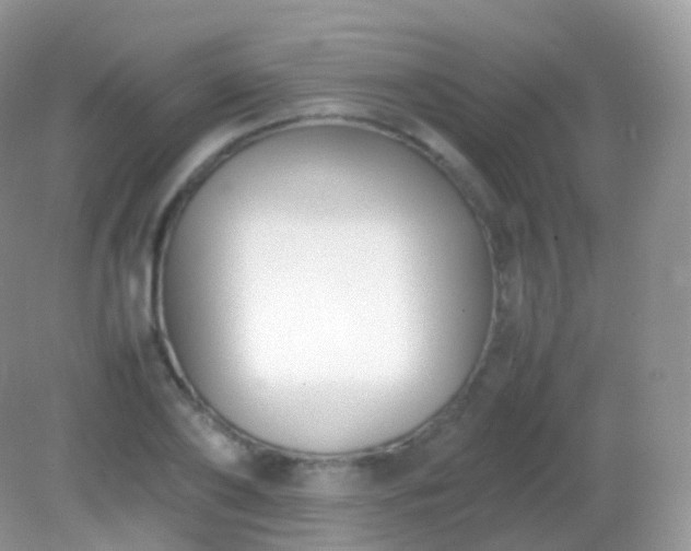 X0000082150886200701262305