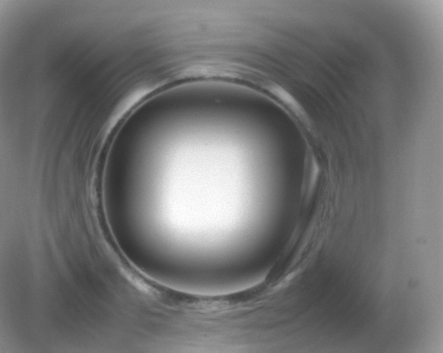 X0000082150893200701262305