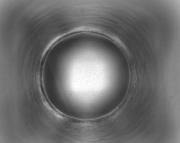 X0000082150896200701262305