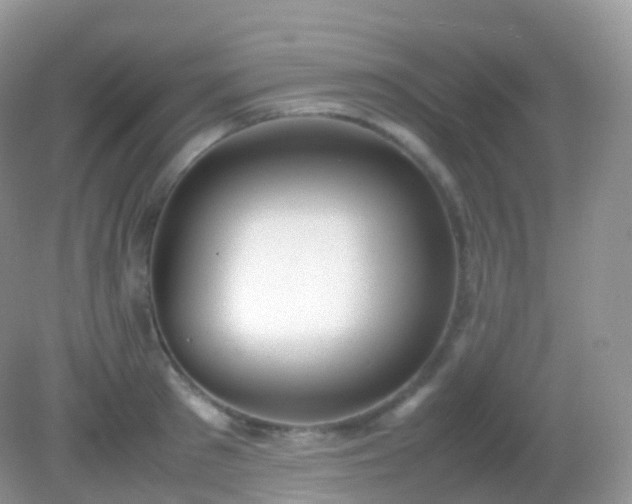 X0000082150897200701262305