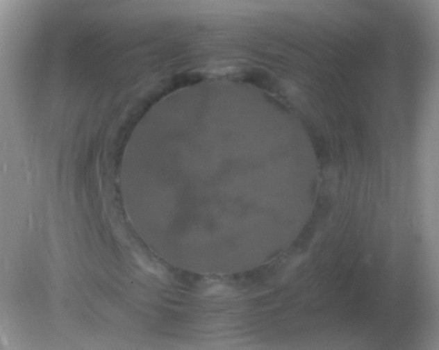 X0000082150913200701262304