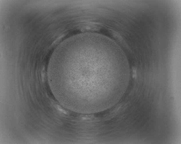 X0000082150915200701262304