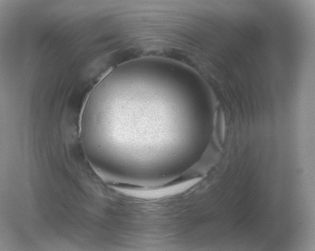 X0000082150916200701262304