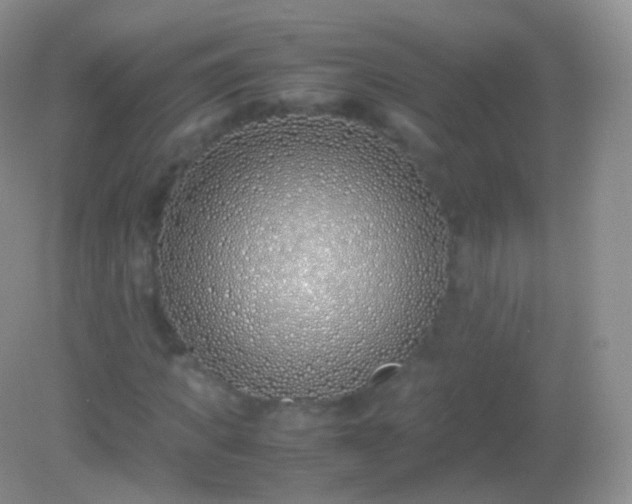 X0000082150917200701262304