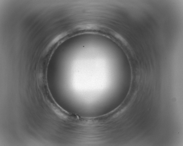 X0000082150922200701262304