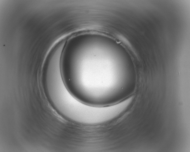 X0000082150924200701262304