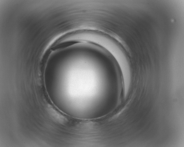 X0000082150926200701262304