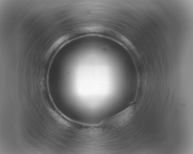 X0000082150930200701262304