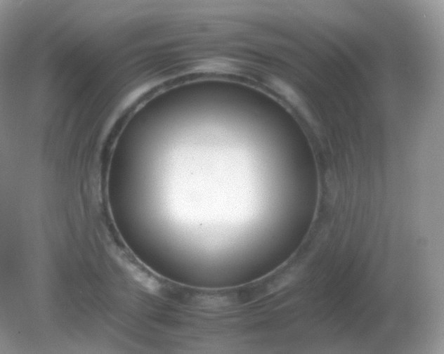 X0000082150931200701262304